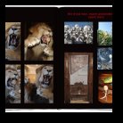 [Click to enlarge image]